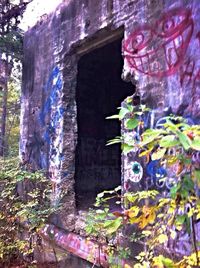 abandoned