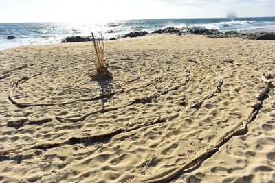 Circle labyrinth laid out in driftwood sticks on sand beach of baja california sur, mexico