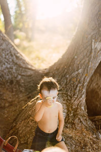 Boy looking at tree trunk