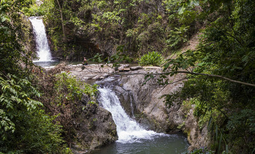 Scenic view of waterfall in forest