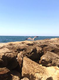 Rocks by sea against clear sky