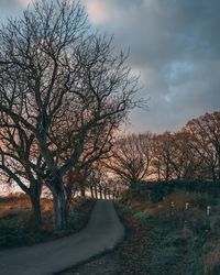 Road amidst bare trees on field against sky