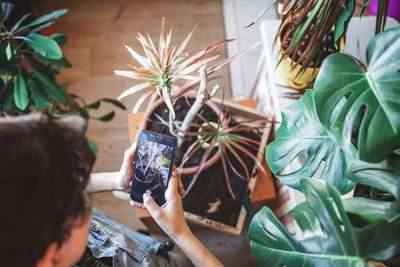 Girl makes photo with smartphone for social media, home plants on balcony, green room, gardening