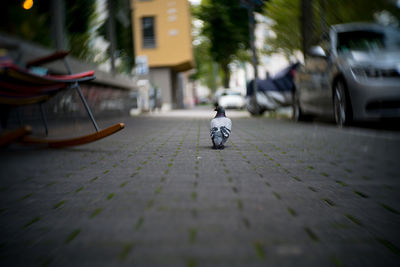 View of car on street