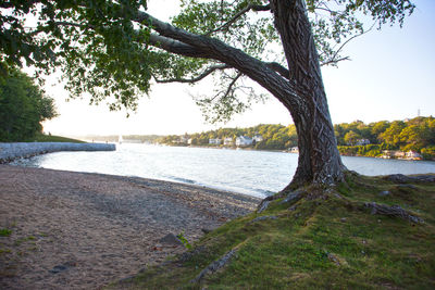 Scenic view of river against sky