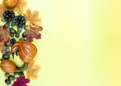 Directly above shot of fruits on table against white background