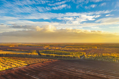 Scenic view of field against sky during sunset