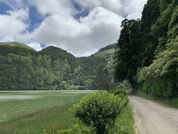 Scenic view of river by trees against sky