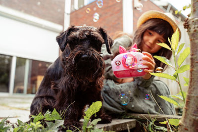 Close-up of dog sitting with girl