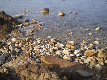 Close-up of pebbles on shore