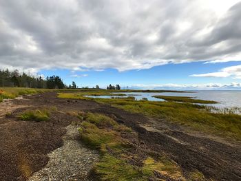 Scenic view of beach against cloudy sky