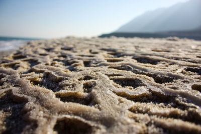 Close-up of sand on beach against sky