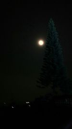 Low angle view of illuminated tree against sky at night