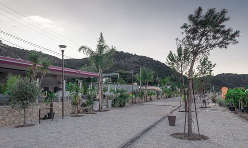 Empty road by trees and buildings against sky