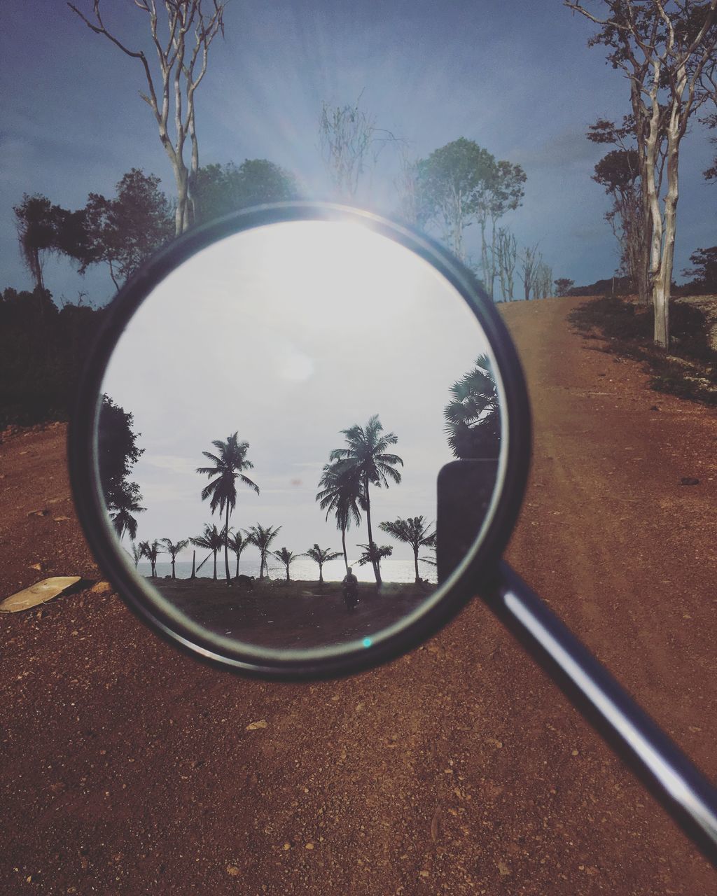 REFLECTION OF TREES ON SIDE-VIEW MIRROR OF CAR