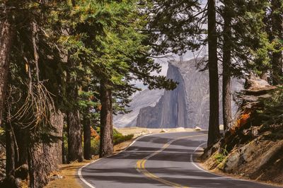 Road amidst trees against sky