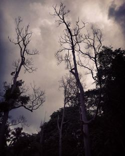 Low angle view of bare trees against cloudy sky