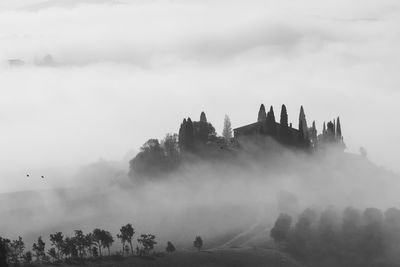 Panoramic view of trees on landscape against cloudy sky