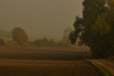Trees on field against sky