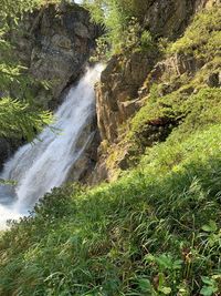 Scenic view of waterfall in forest