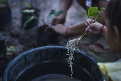 Young woman mother and her daughter planting a tree in their garden backyard or in nature field.