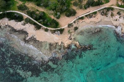 High angle view of sea and trees