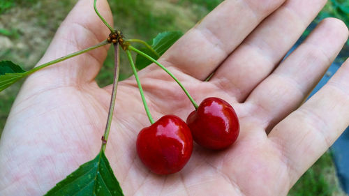 Close-up of hand holding strawberry