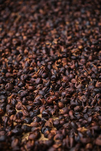 Full frame shot of coffee beans