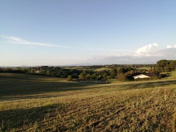 Scenic view of agricultural field against sky