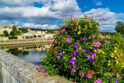 Fresh flowers by trees against sky