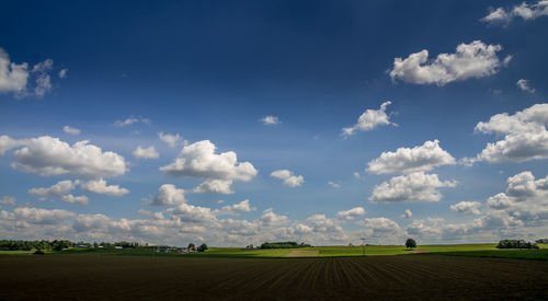 Scenic view of agricultural field against sky