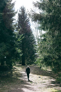 Rear view of woman walking on road in forest