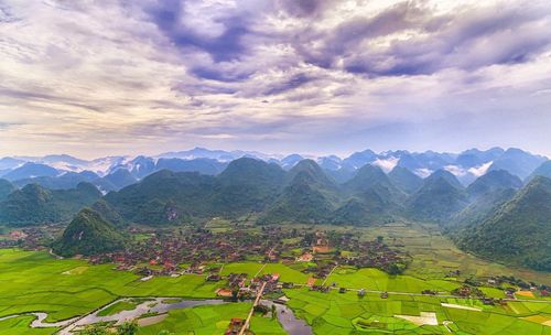 Scenic view of agricultural field against sky