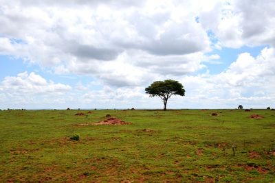 Scenic view of grassy field against cloudy sky