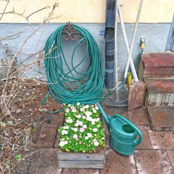 Plants against brick wall