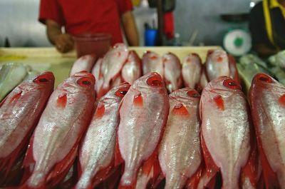 Close-up of fish for sale in market