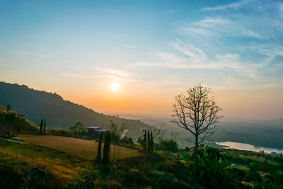 Scenic view of field against sky during sunset