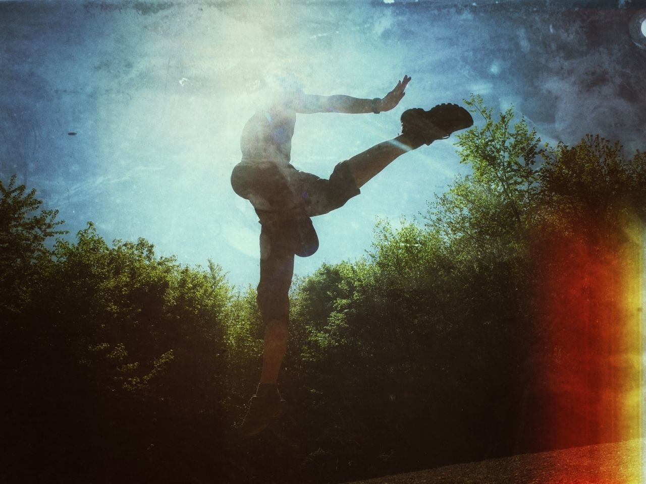 lifestyles, tree, leisure activity, men, silhouette, sky, standing, low angle view, cloud - sky, full length, enjoyment, nature, motion, arms raised, fun, outdoors, arms outstretched, person