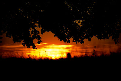 Silhouette trees on field against orange sky