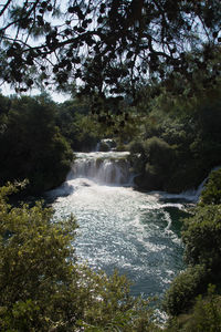 Scenic view of waterfall in forest