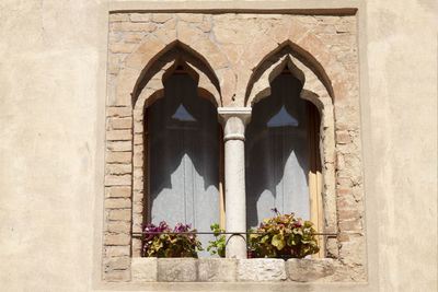 Low angle view of flowering plants on wall of building