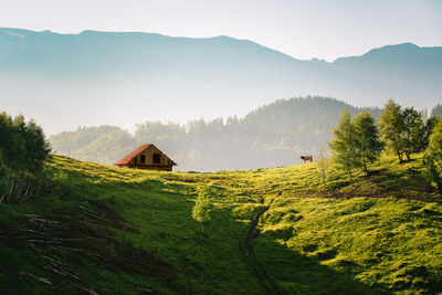 Scenic view of cottage and cow on field against mountain and sky in summer