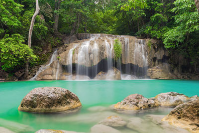 Scenic view of waterfall in forest