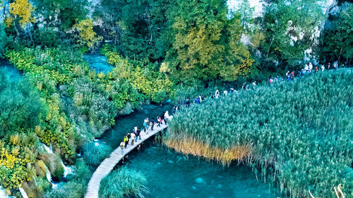 High angle view of people on land by trees