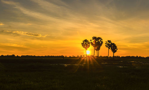 Scenic view of field against sky during sunset