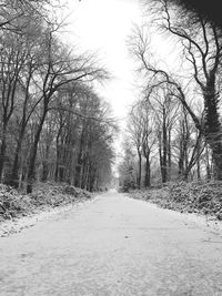 Road amidst bare trees in forest during winter