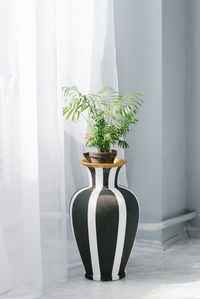 Indoor plant with areca palm leaves in a black and white floor vase near the window in the house