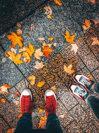 Low section of person standing on maple leaves during autumn