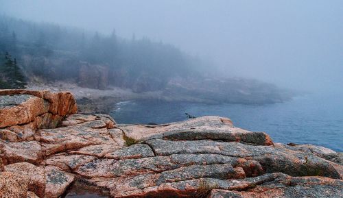 Rocks by sea against sky during foggy weather