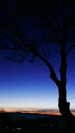 Silhouette of trees at sunset